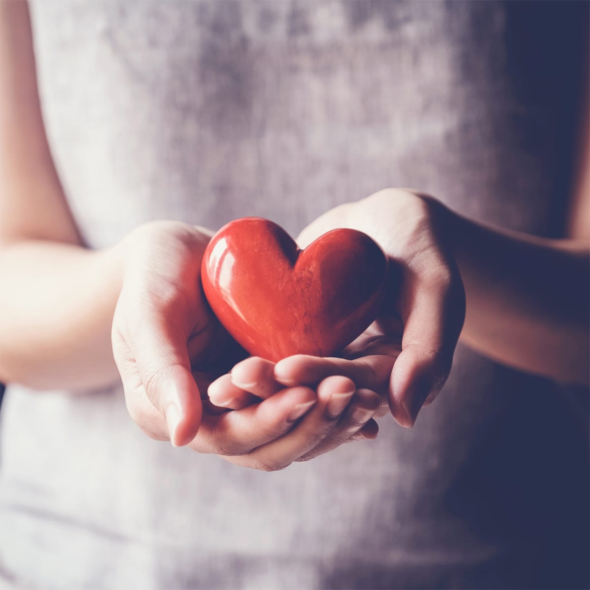 woman holding red heart, health insurance, donation charity concept zest for life person holding heart in hands